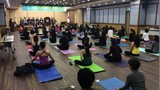 2017년 1/4분기 심사