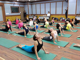 2013년 1/4분기 요가지도…