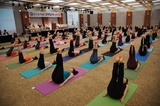 2014년 2/4분기 요가지도…