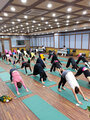 2013년 1/4분기 요가지도…